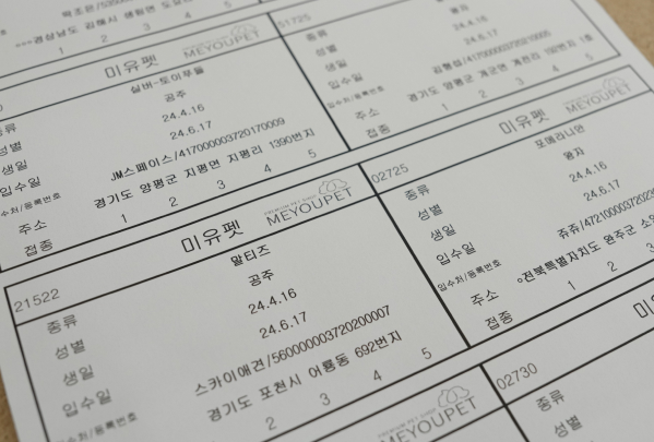 분양정보 절차 섹션2_3