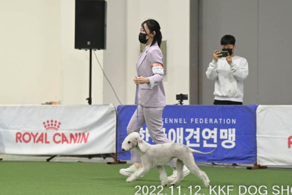 미유펫_미용실_섹션2_2